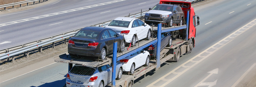 spécialiste pour le transport véhicule